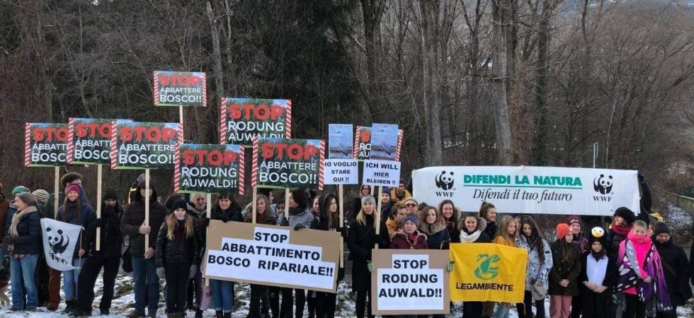 Dopo l'appello al papa arriva la petizione per fermare l'abbattimento del bosco ripariale
